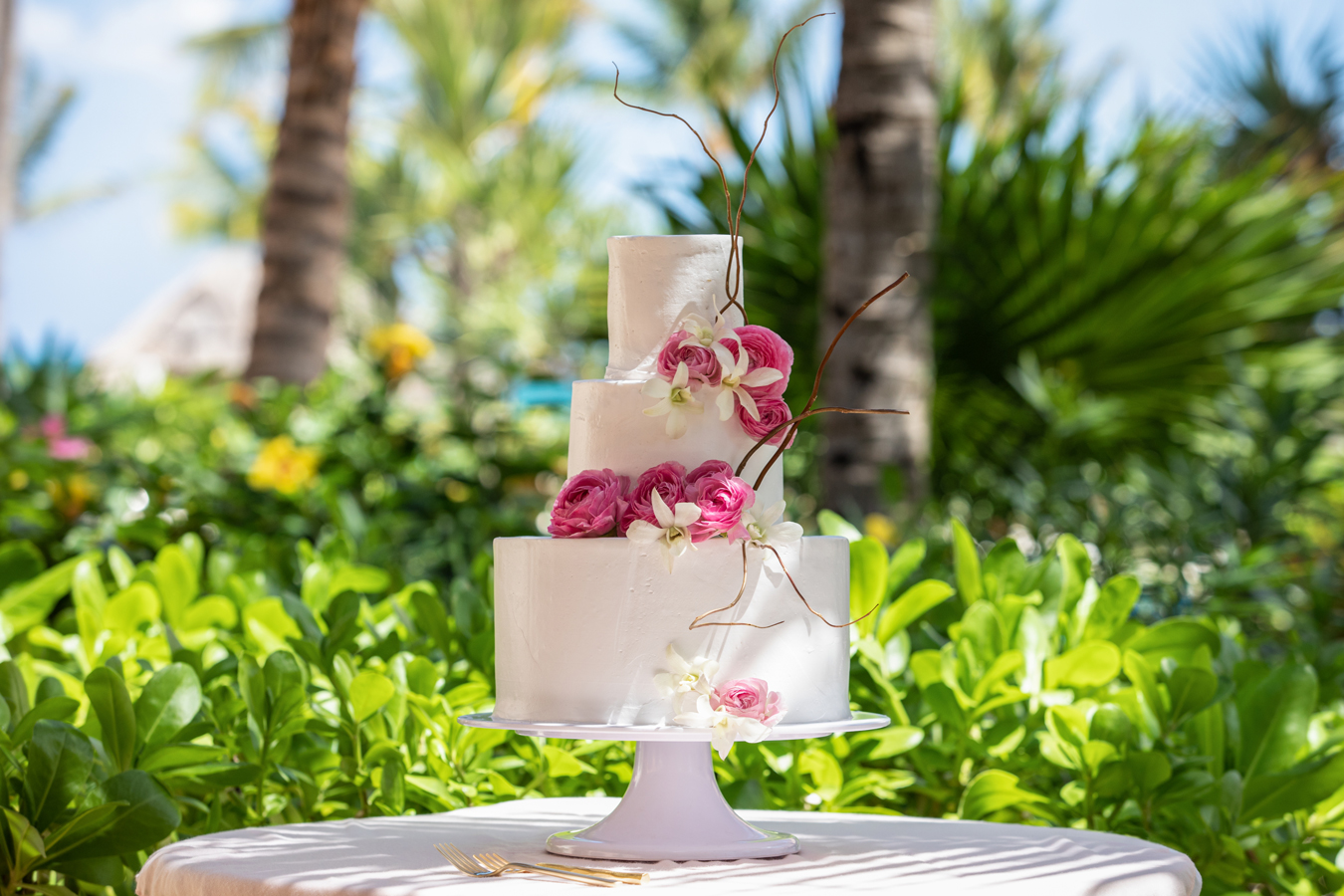 Dream Weddings at Excellence Punta Cana All Inclusive Resort