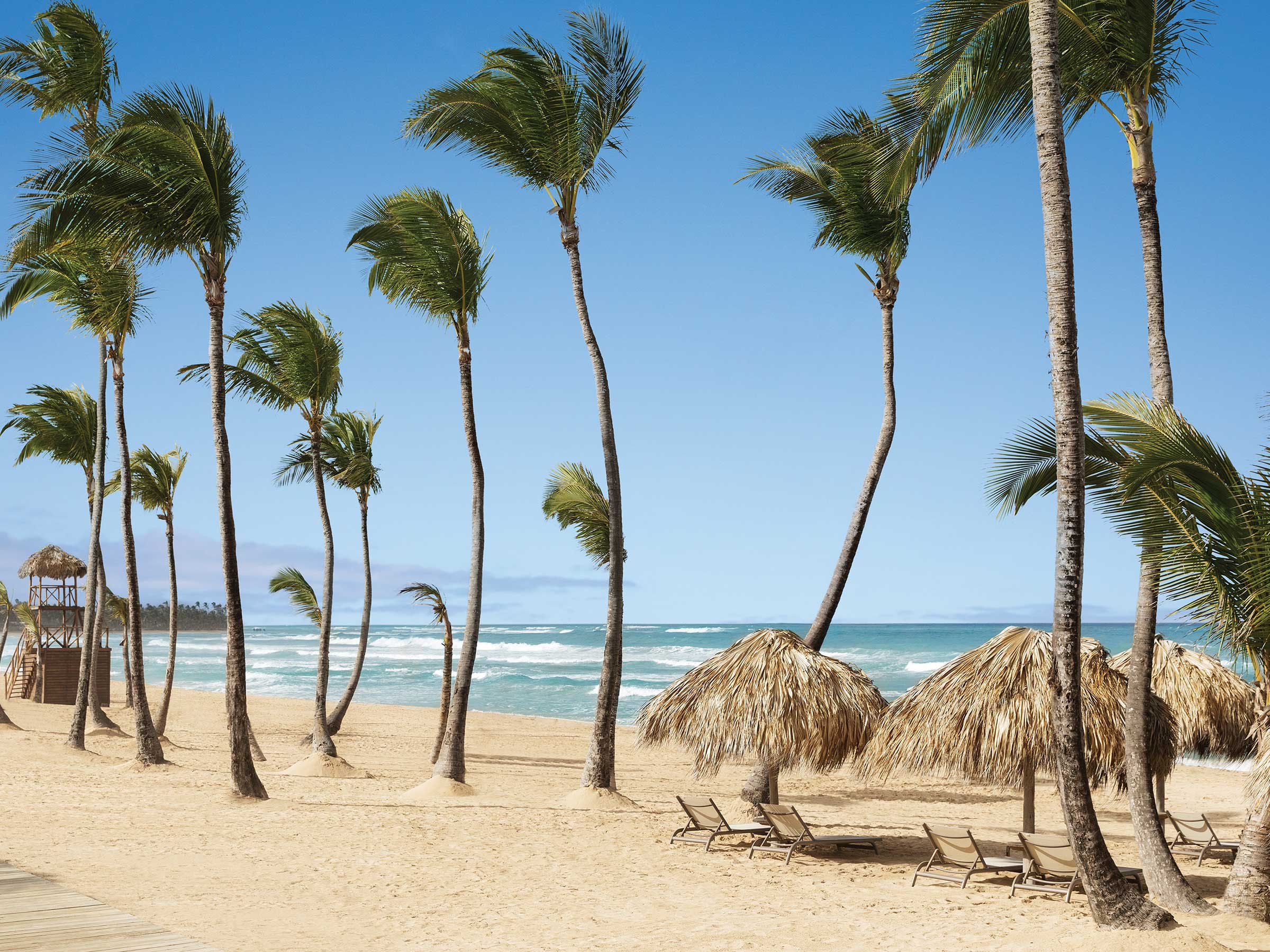 Excellence Punta Cana Reviews Excellence Punta Cana Reviews